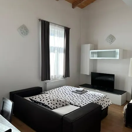 Riverside Palace Apartment *